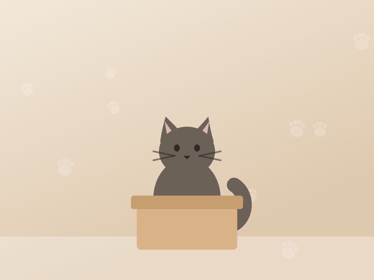 Kat in een doos