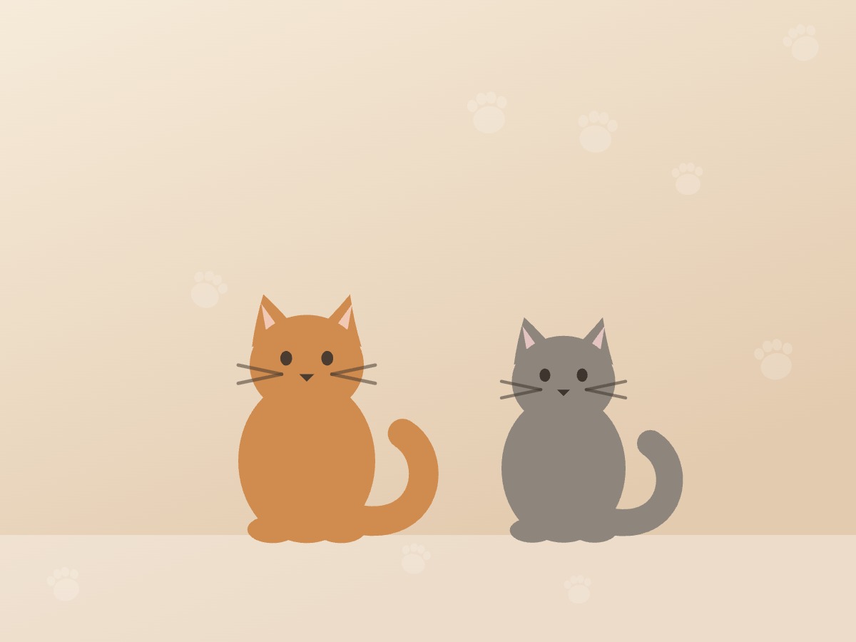 Twee katten naast elkaar